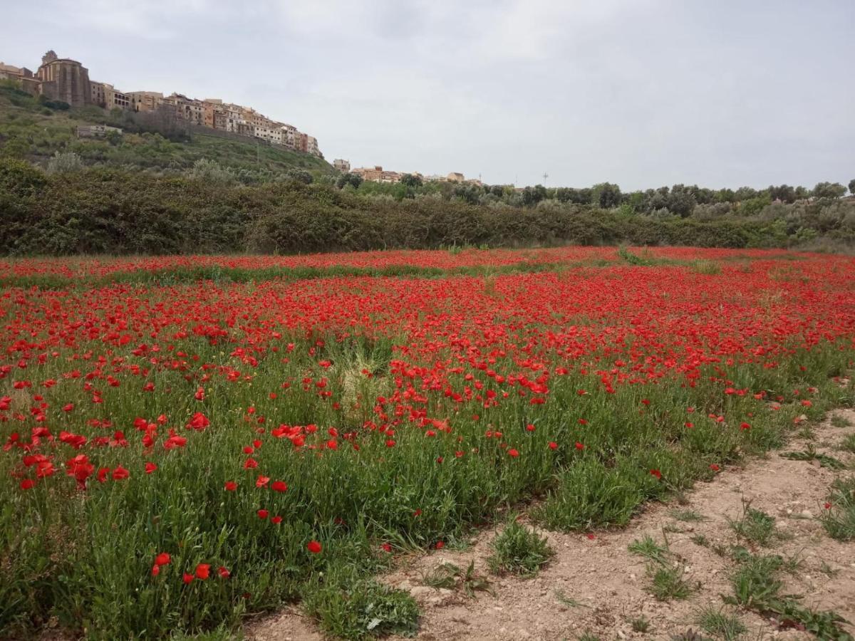 Els Ports D'Horta Apartman Horta de Sant Joan Kültér fotó